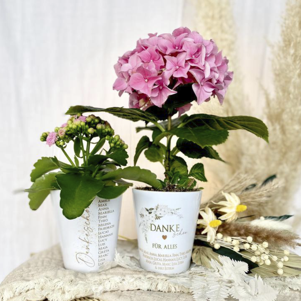 Personalisierter Blumentopf „Dankeschön für Alles“ Abschiedsgeschenk Lehrer/in oder Erzieher/in Kitaabschied oder Schulabschluss