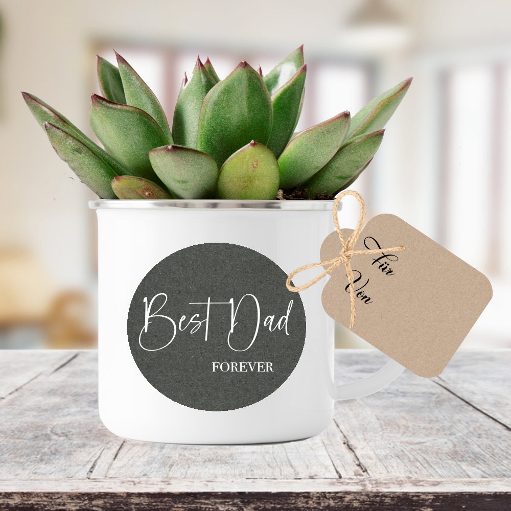 Flaschenlicht "Best Dad forever" | Perfektes Geschenk für coole Väter | Originielle Geschenkidee für den Papa | 3 Produktvarianten zur Auswahl